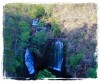 Florence Falls