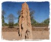 Massive Termite Mound