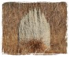 Magnetic Termite Mound