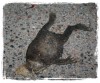 Splat!